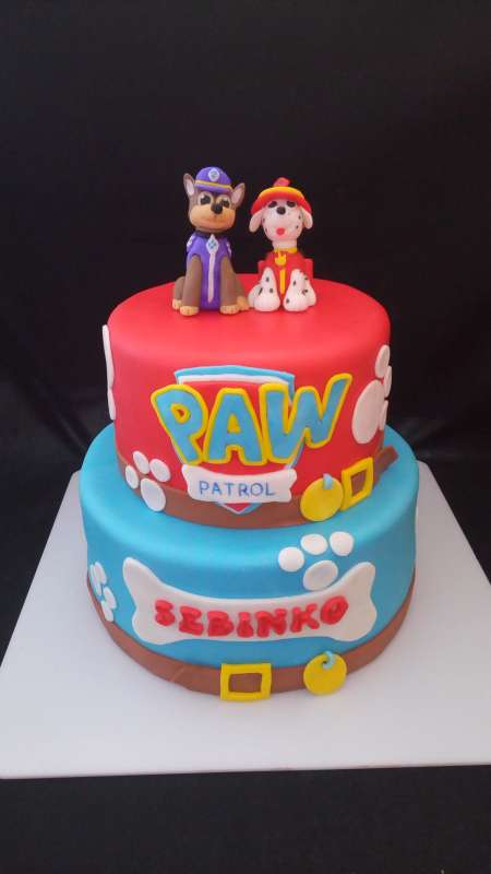 0269 PAW Patrol (1)-800